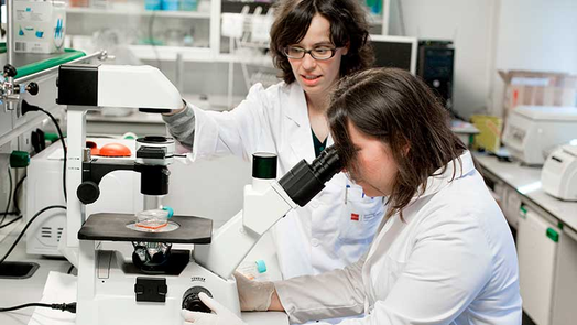 Laboratorio de Biotecnolog&iacute;a Universidad Europea Madrid
