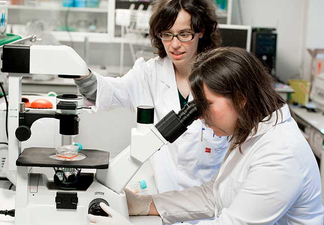 Laboratorio de Biotecnología Universidad Europea Madrid