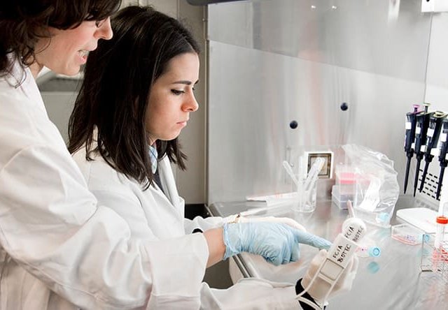 Laboratorio de Biotecnología Universidad Europea Madrid