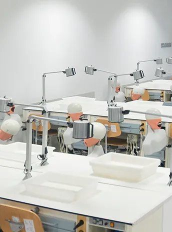 Laboratorio-Taller de Simulación Odontológica Universidad Europea de Valencia