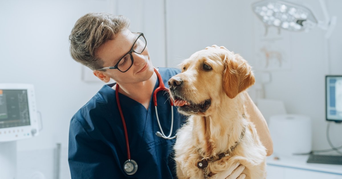 Maestría en Medicina Veterinaria