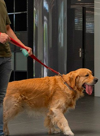 hospital veterinario