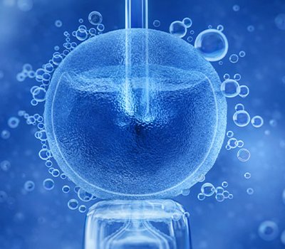 open-session-master-reproduccion-asistida