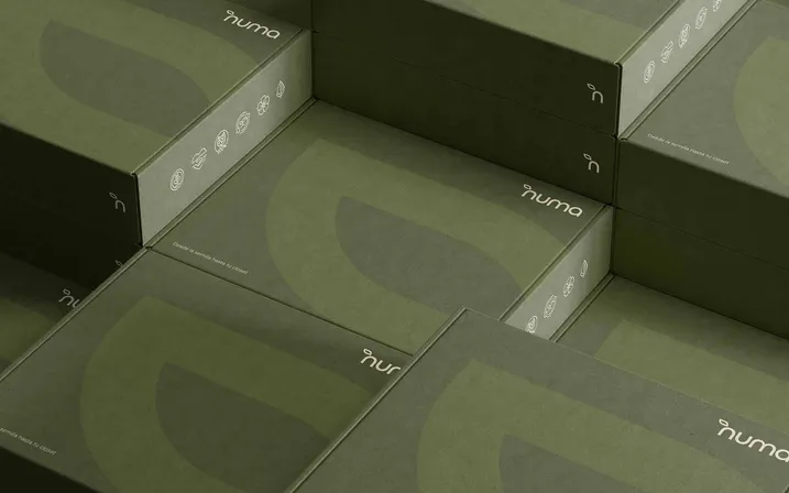 Identidad visual y diseño de página web para una Marca textil sostenible_2