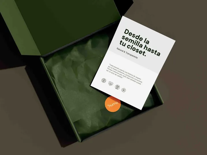 Identidad visual y diseño de página web para una Marca textil sostenible