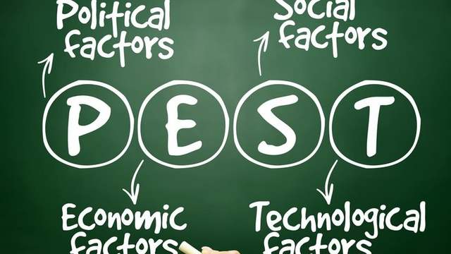 análisis PEST