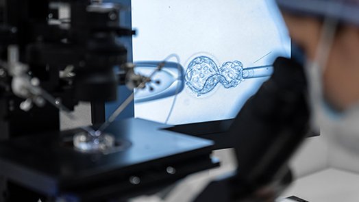 Prácticas profesionales del Máster de Formación Permanente en Biotecnología Aplicada a las Técnicas de Reproducción Humana Asistida, Genética e Investigación