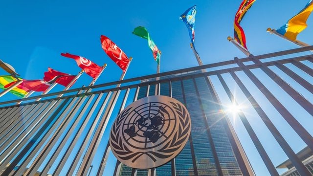 edificio de las naciones unidas con banderas bajo un cielo azul