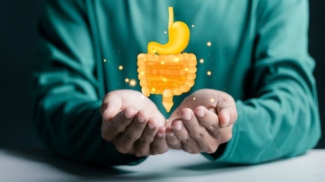ilustración de unas manos sujetando un intestino