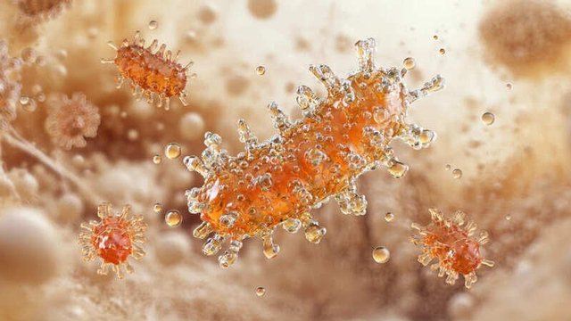 imagen del virus de la rabia