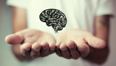 ramas-de-la-psicologia