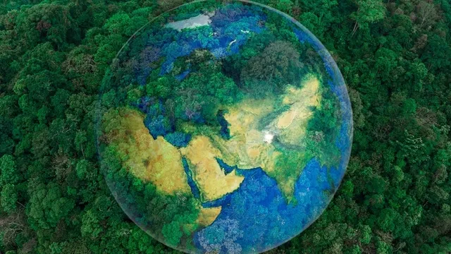 vista área de un bosque