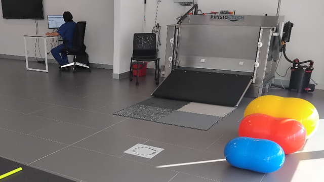 rehabilitaci&oacute;n perros (sala de ejercicios)