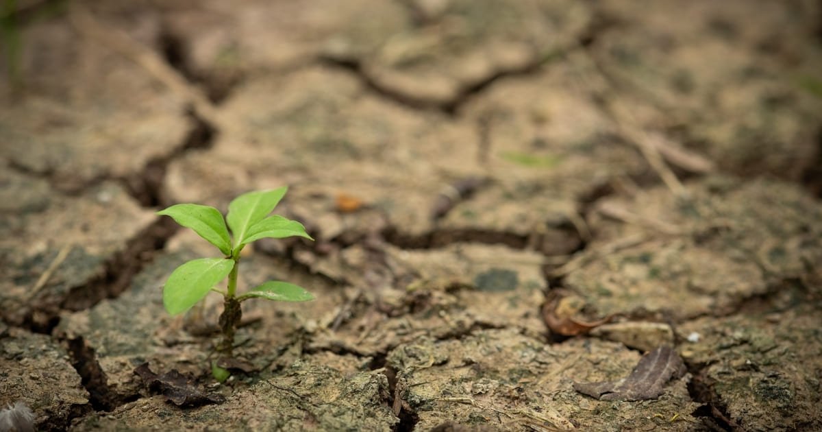 https://universidadeuropea.com/resources/media/images/resiliencia-climatica-1200x630.original.jpg