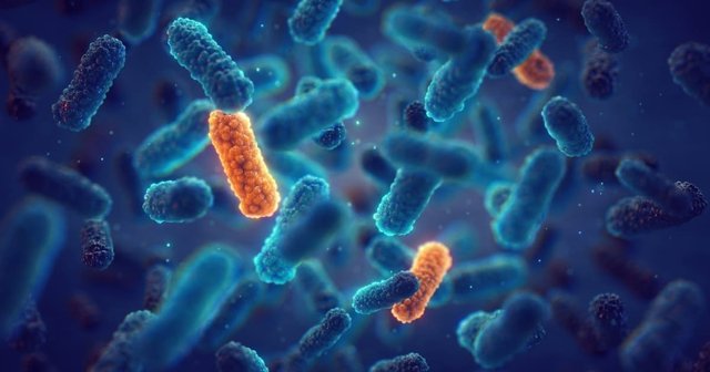 imagen en microscopio de la resistencia bacteriana a antibióticos