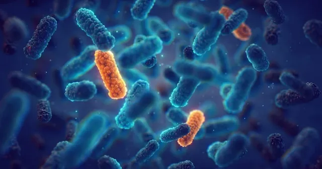 imagen en microscopio de la resistencia bacteriana a antibióticos