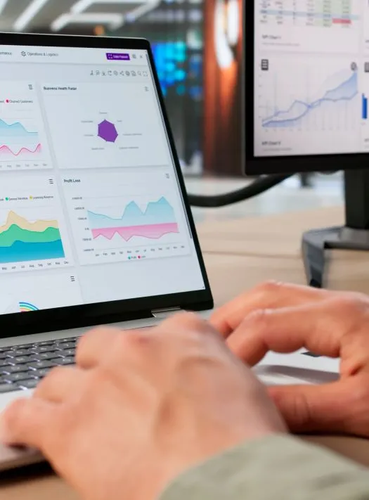 Curso Universitario en Gesti&oacute;n de Riesgos Financieros