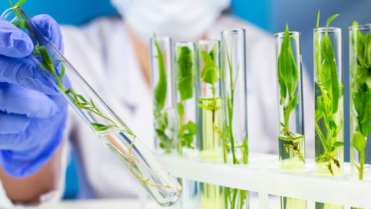 salidas-profesionales-biotecnologia