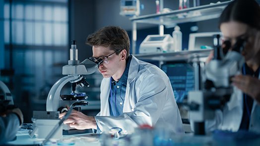 Salidas profesionales del Máster en Biotecnología de la Reproducción Humana Asistida online