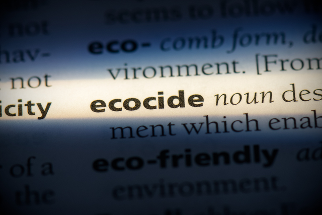 definición de ecocidio en diccionario