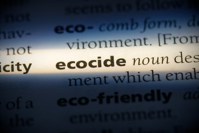 definición de ecocidio en diccionario