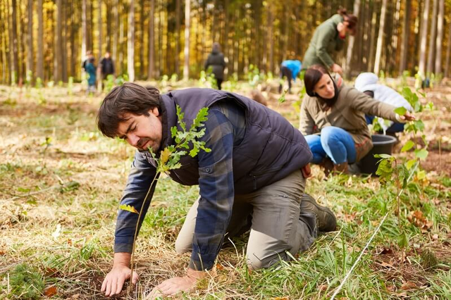 educaci&oacute;n ambiental