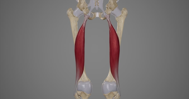lesión de bíceps femoral