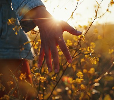 siente-naturaleza-reconecta-cuerpo-mente
