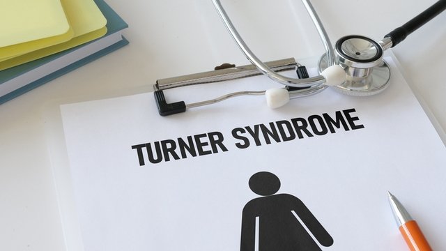 carpeta que sostiene un folio en el que aparece escrito ”Síndrome Turner” en inglés y el icono de una mujer