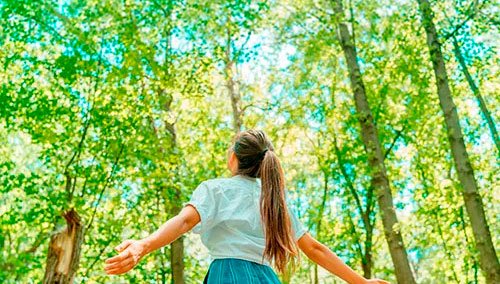 sostenibilidad-modulo-escuelas