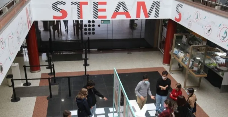 steam_ok.jpg