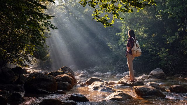 una mujer excursionista rodeada de naturaleza