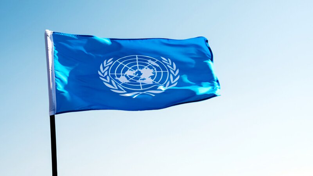 What is the United Nations?
