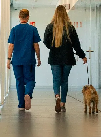 hospital veterinario