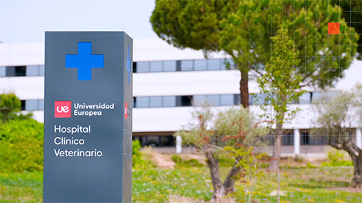 Hospital Cl&iacute;nico Veterinario: Excelencia en Atenci&oacute;n y Formaci&oacute;n Integrada