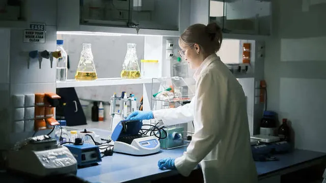 western blot