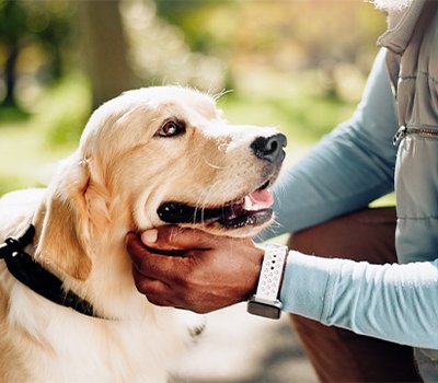 xviii-jornadas-psicologia-bienestar-veterinaria