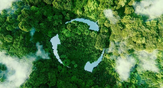 zero-waste-800x450.jpg