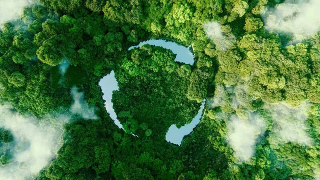 logotipo de reciclaje sobre un bosque